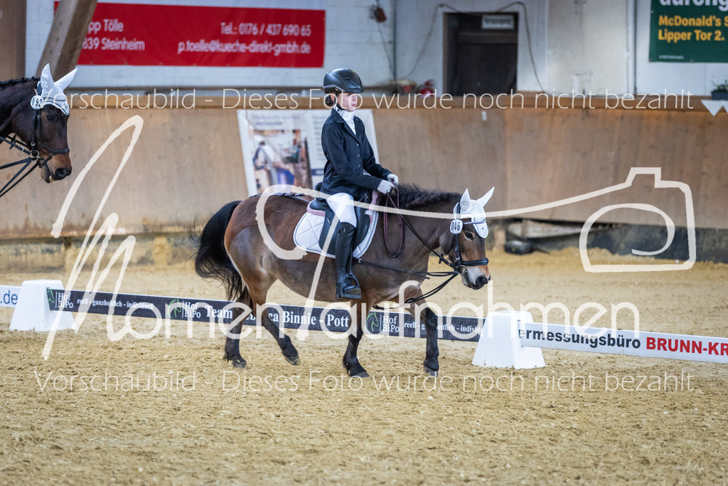 Sth-WBO25-RWBST-048 | MomenTaufnahmen Pferdesportfotos