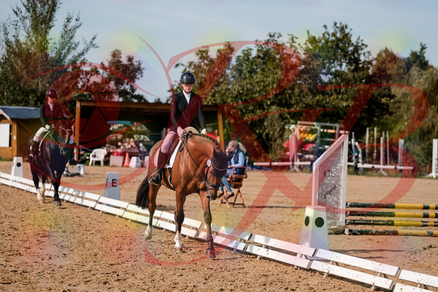 2026_10_03_Siefer-Hof_131541_Z63_77530009 | Professionelle Reitsport-, Turnier- und Eventfotografie von Robert Broda. Galerien mit ausgewählten und bearbeiteten Bildern direkt online ansehen und bestellen.
