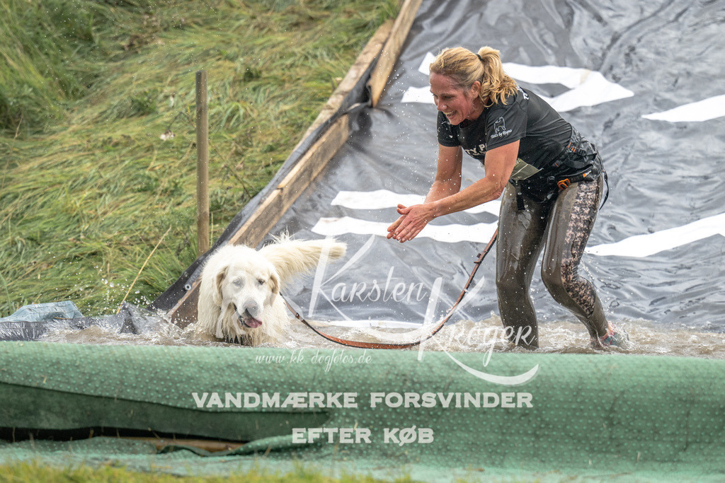 1407_ZZ94370 | kk-dogfotos