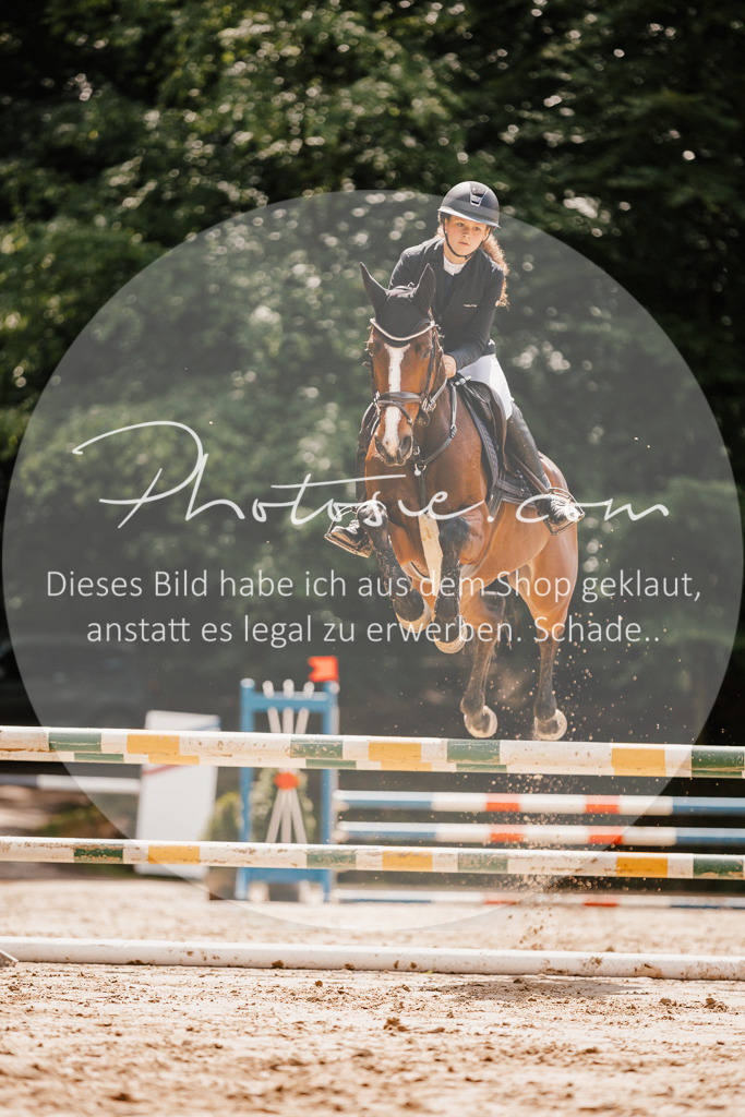 3I6A2348 | Stimmungsvolle Portraits und Reitsportfotografie im Ruhrgebiet und im Münsterland.

Pferdefotografie, Hundefotografie, Tierfotografie, Reportagen, Portraits von Tier und Mensch, Turnierfotografie in Bochum, Recklinghausen, Marl, Haltern am See, Dülmen.. - Realisiert mit Pictrs.com