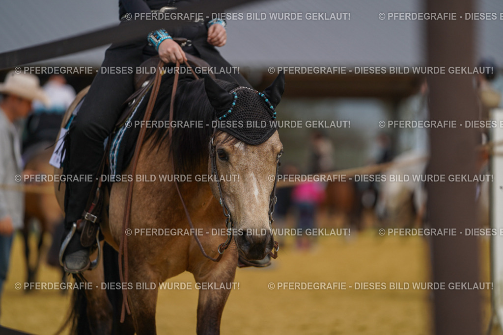 DSC03771 | Pferdegrafie