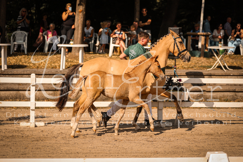 10.DoRP00252 | Leoni Ertmer Photography - Realisiert mit Pictrs.com