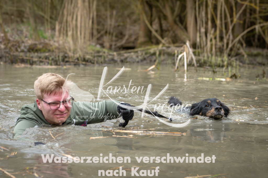 1356_ZZ94914 | kk-dogfotos
