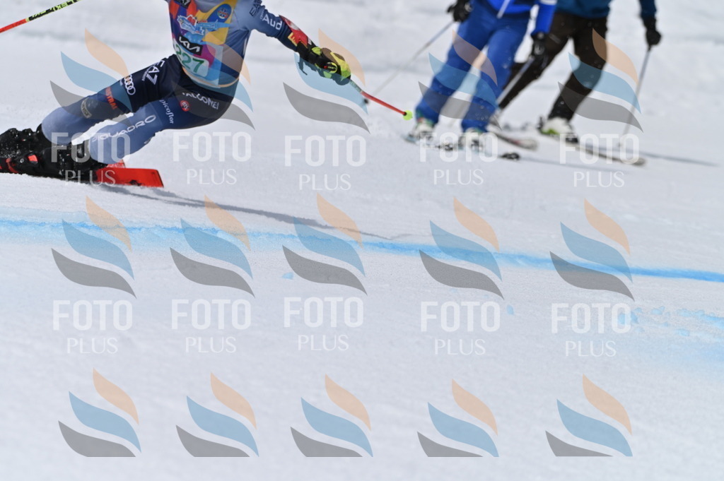 BGV_4492 | holidayphoto