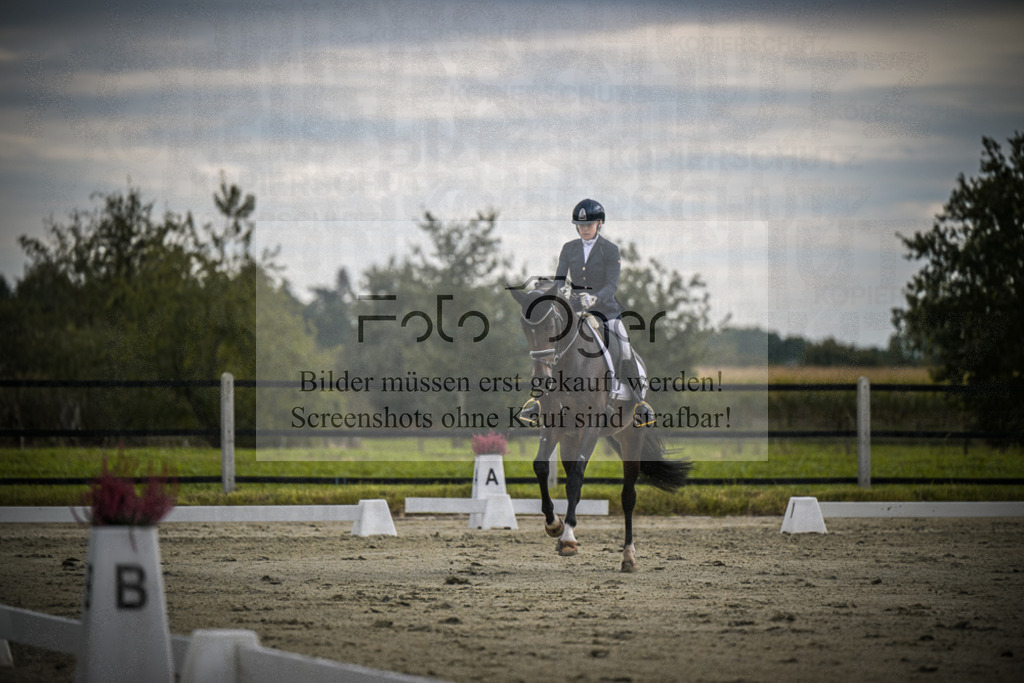 DOS_1469 | Entdecke hochwertige Reitturnierfotos von Foto Oger. Professionell, emotional und authentisch – jetzt Lieblingsmomente im Shop bestellen.Deutschlandweite Turnierfotografie. - Realisiert mit Pictrs.com