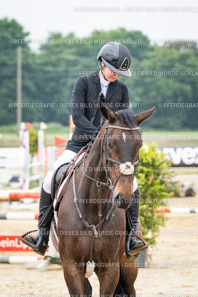 DSC00988 | Pferdegrafie