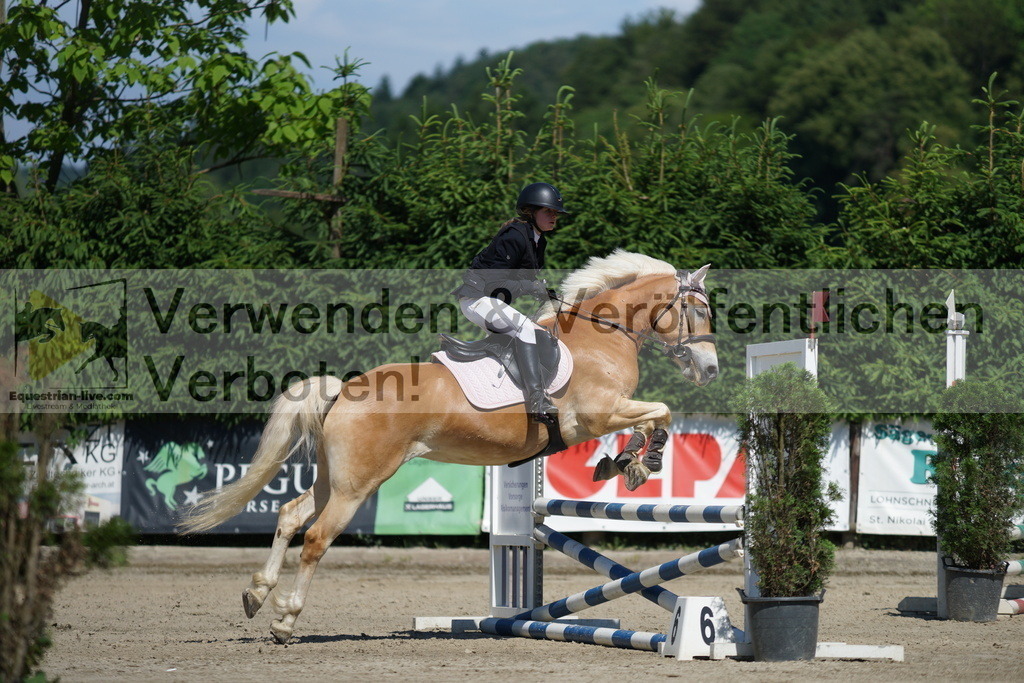 DSC06233 | equestrian-live-com