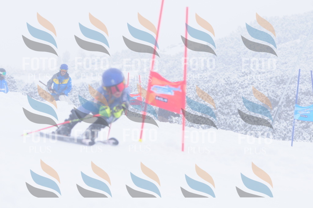 C2373 | holidayphoto