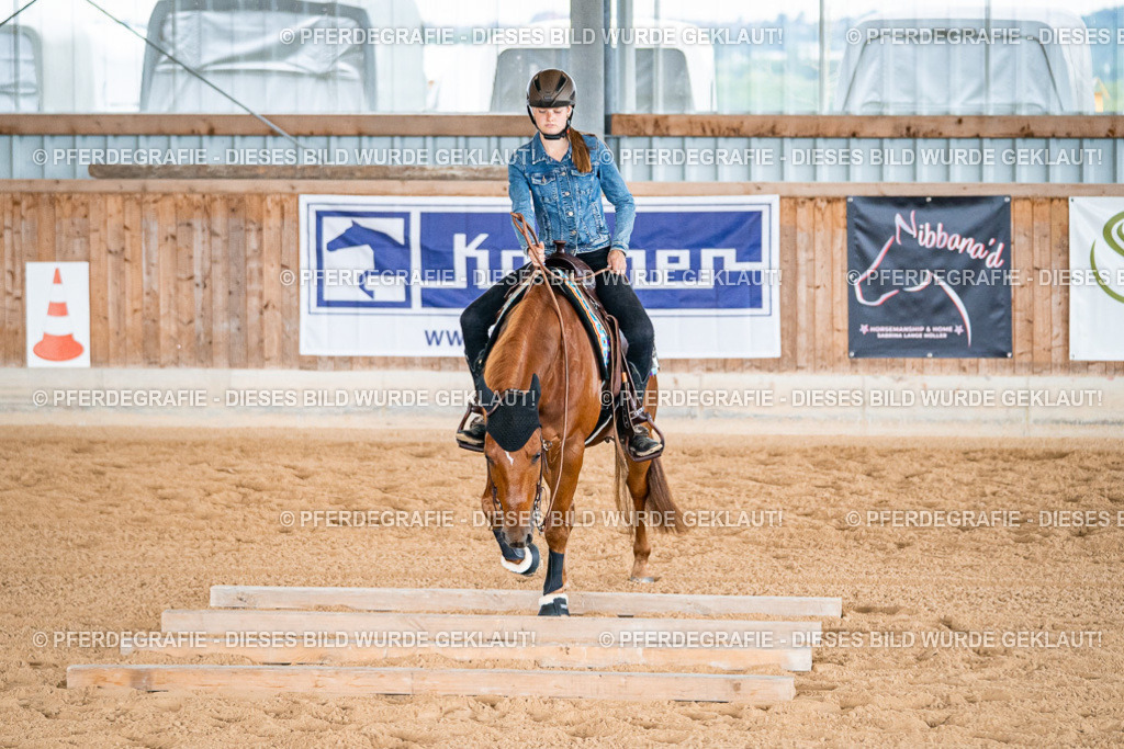 DSC09417 | Pferdegrafie