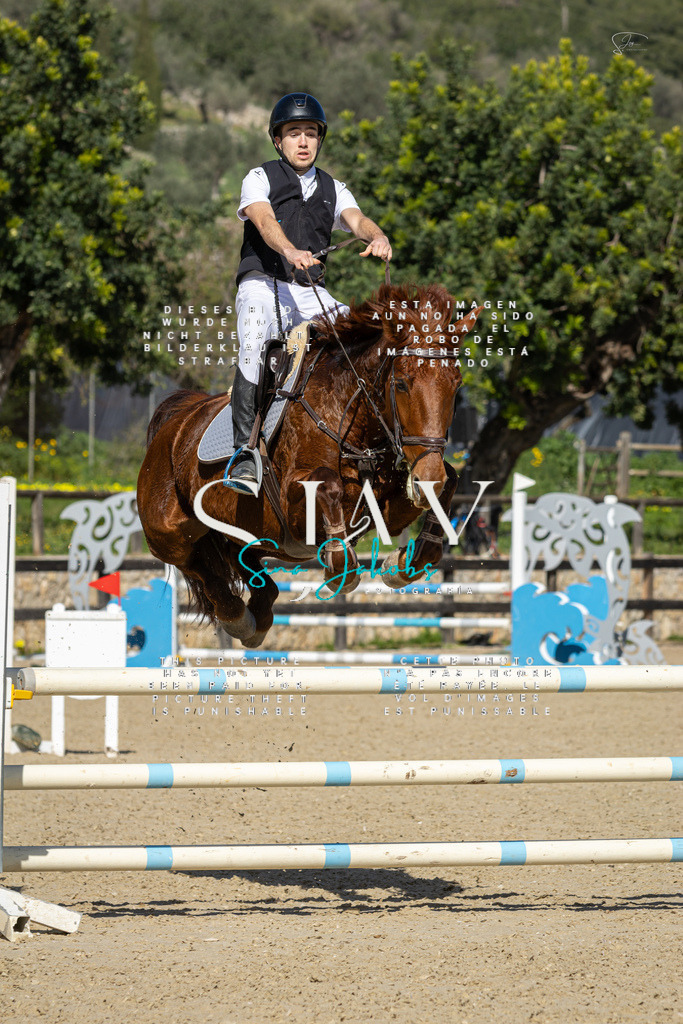 IMG_6477 | s-jay-photography - Realisiert mit Pictrs.com