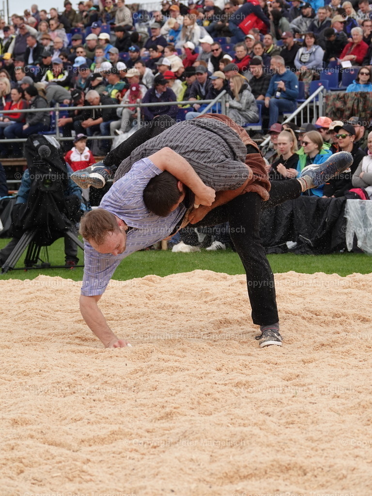 DSC06301 | Schwingen - Realisiert mit Pictrs.com