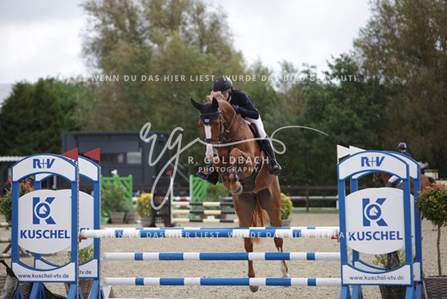 1J2A9996Pheline Ahlmann_ Constanzehof_s Faust Mephisto_ Kn275_ Havekost | Foto- und Videografie für alles rund ums Pferd. Hochwertige Bilder und Videos vom Spring- und Dressurreiten, Voltigieren & mehr. Jetzt aktuelle Veranstaltungen und Preise im Shop ansehen. - Realisiert mit Pictrs.com