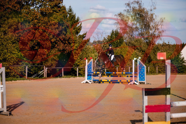 2026_10_03_Siefer-Hof_171033_Z81_07327871 | Professionelle Reitsport-, Turnier- und Eventfotografie von Robert Broda. Galerien mit ausgewählten und bearbeiteten Bildern direkt online ansehen und bestellen.