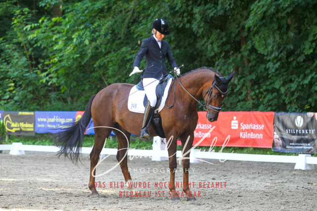 DKP42566 | Turniersportfotografie; Pferdefotografie; Dressurfotografie