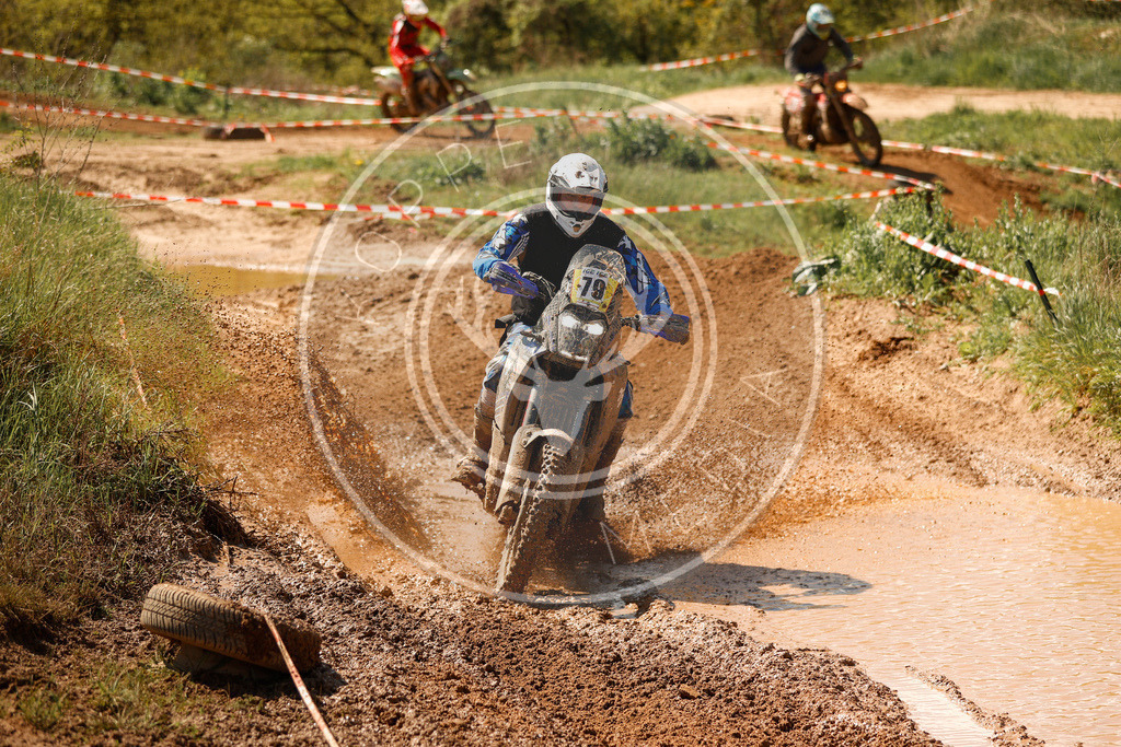 RottlebenIGE25_Lauf2-681 | koppe-media