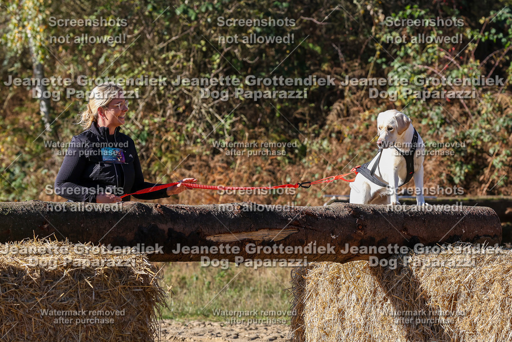 Dog Paparazzi - Strongdog 10-25-2320 | Dog Paparazzi Jeanette Grottendiek Fotografie & Videografie - Realisiert mit Pictrs.com