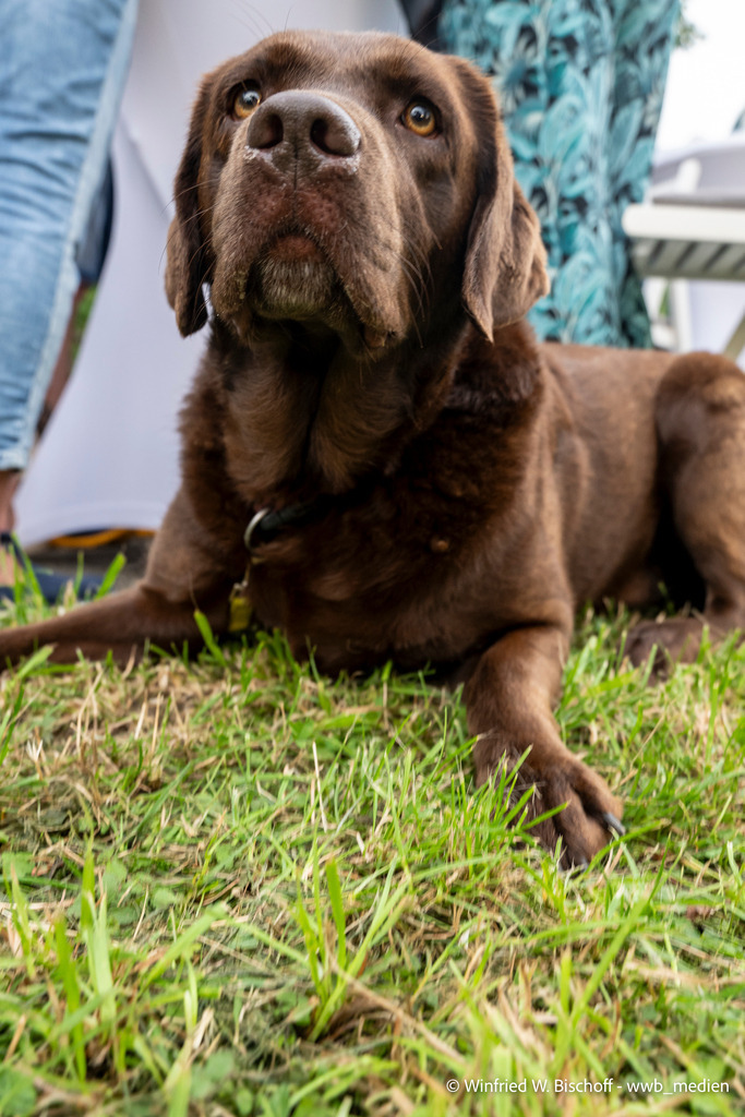 _DSC1533 | <Fotografie> <Video> <Film> <Winfried Bischoff> - Realisiert mit Pictrs.com