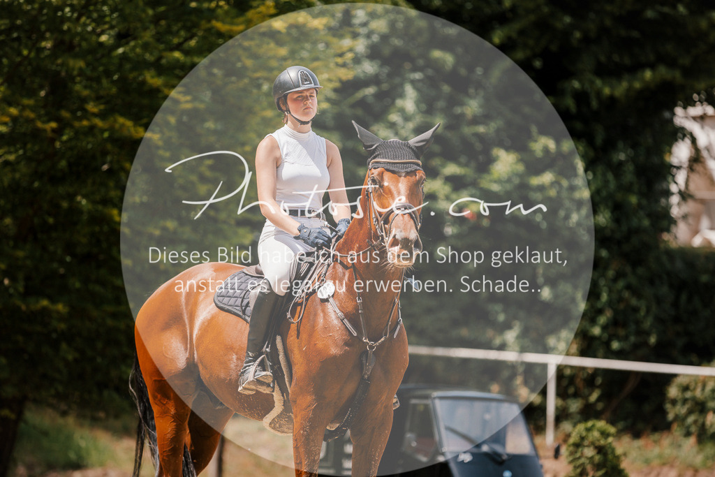 3I6A7801 | Stimmungsvolle Portraits und Reitsportfotografie im Ruhrgebiet und im Münsterland.

Pferdefotografie, Hundefotografie, Tierfotografie, Reportagen, Portraits von Tier und Mensch, Turnierfotografie in Bochum, Recklinghausen, Marl, Haltern am See, Dülmen.. - Realisiert mit Pictrs.com