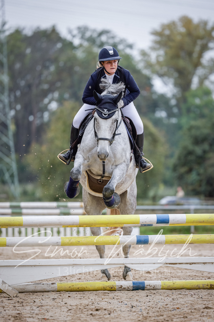 20251012-_3LI3329 | Tierfotografie Pferde, Hunde, Katzen, Haustiere.
Turnierfotografie Reitturniere, Reiten, Springreiten, Dressur in Hanau, dem Main-Kinzig-Kreis und dem Rhein-Main- Gebiet um Frankfurt