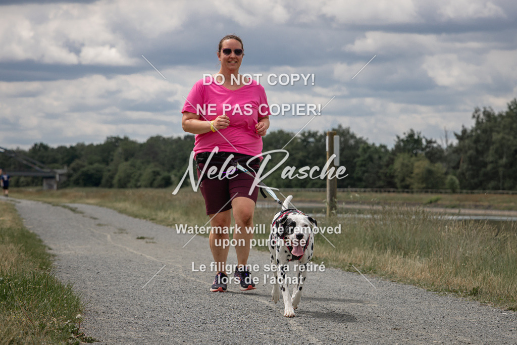 nelerasche_BuHu2026_SaCC1100-1200_261 | nelerasche