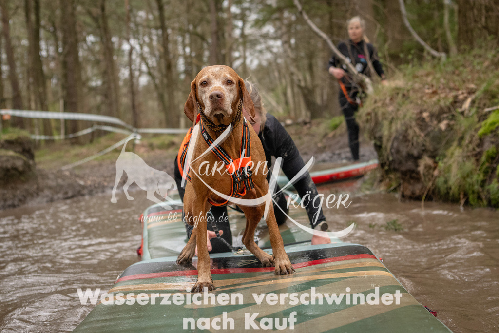 1144_ZZ94467 | kk-dogfotos