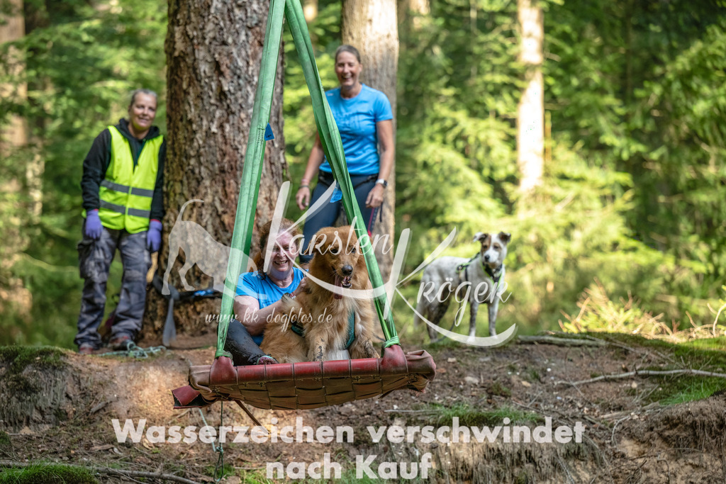 1117_ZZ94571-Bearbeitet | kk-dogfotos