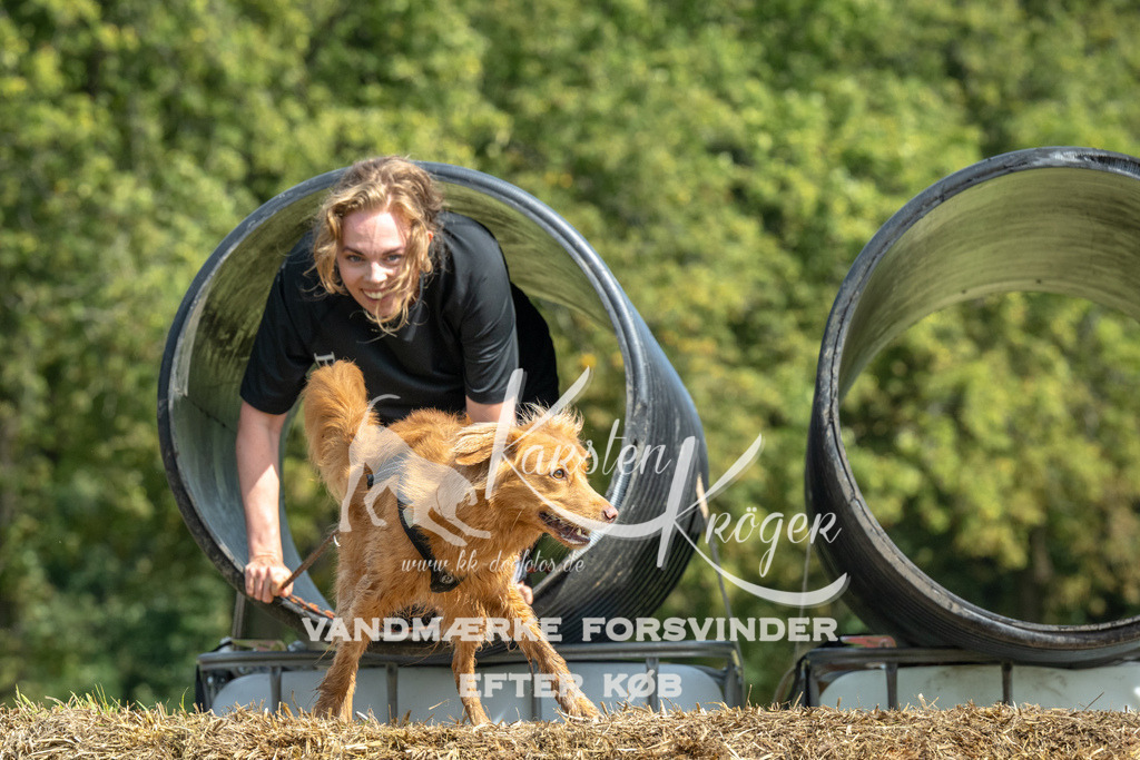 1307_ZZ92245 | kk-dogfotos