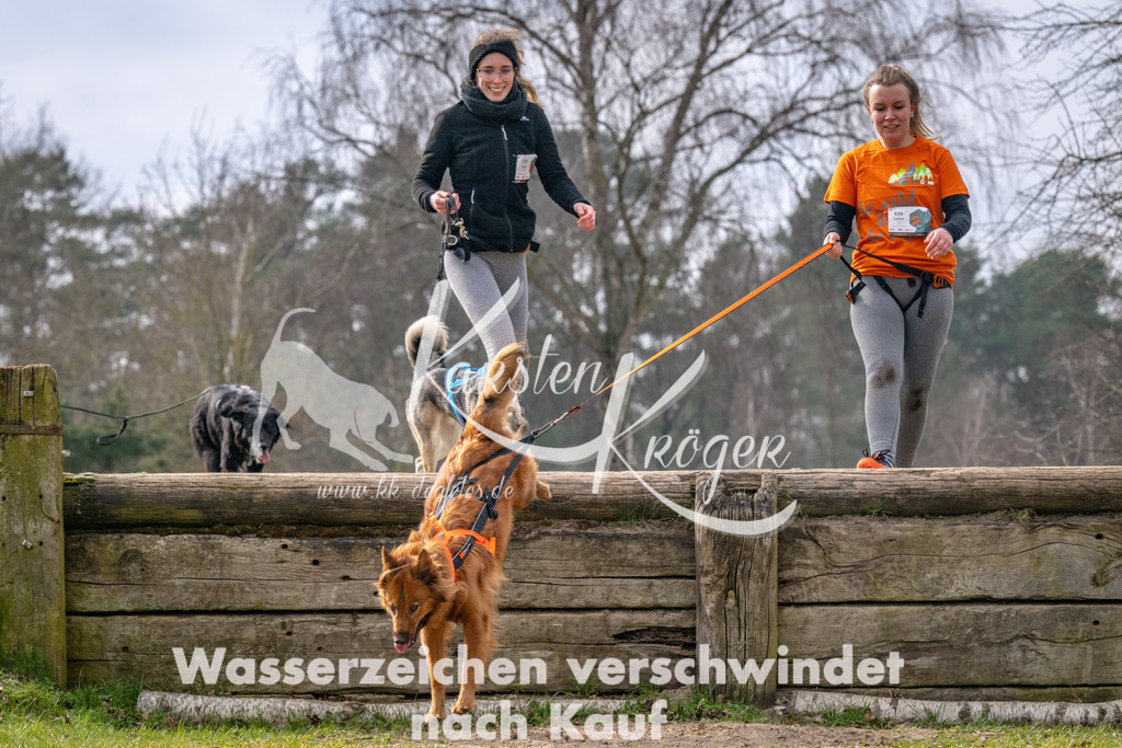 _ZZ93149 | kk-dogfotos