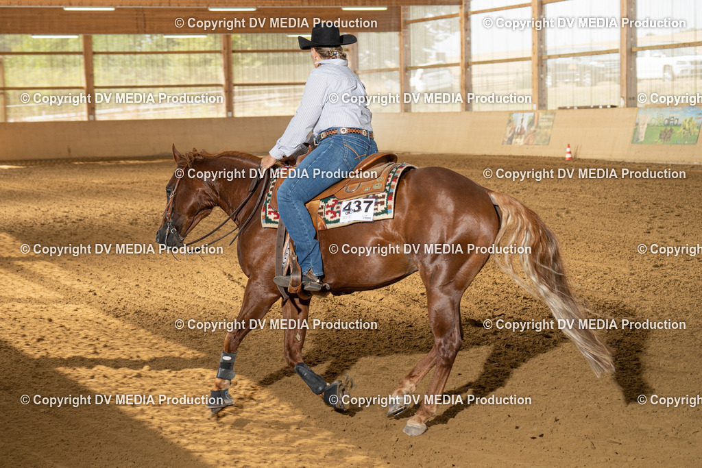 LAU01588 | dv-media-shop - Realisiert mit Pictrs.com