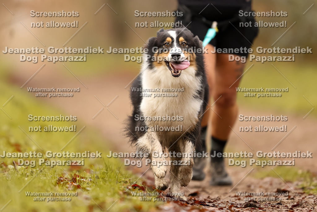 Dog Paparazzi - Speedhunter Mannheim  2025-215 | Dog Paparazzi Jeanette Grottendiek Fotografie & Videografie