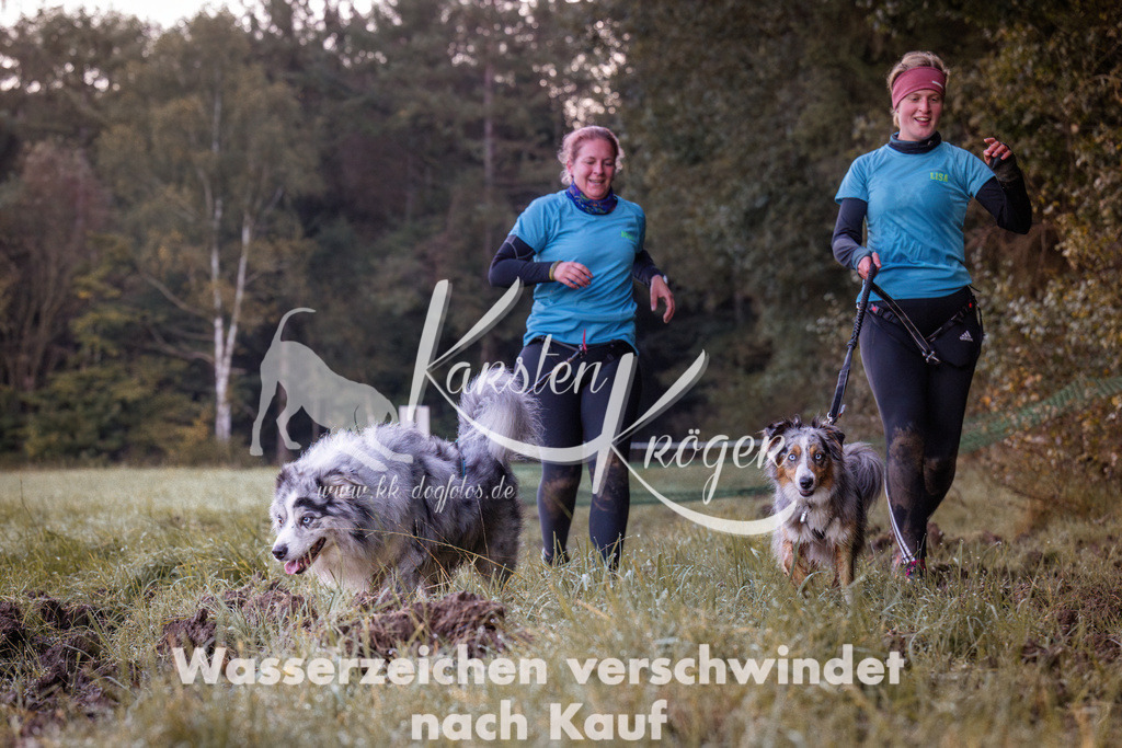 0816_ZZ90132 | kk-dogfotos