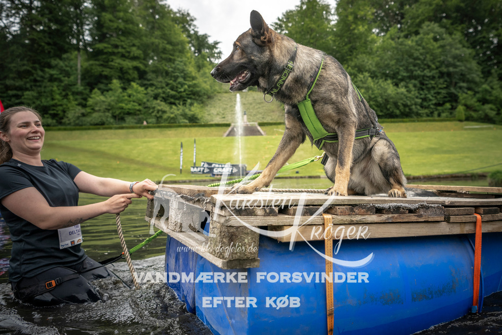 1002_ZZ93827 | kk-dogfotos