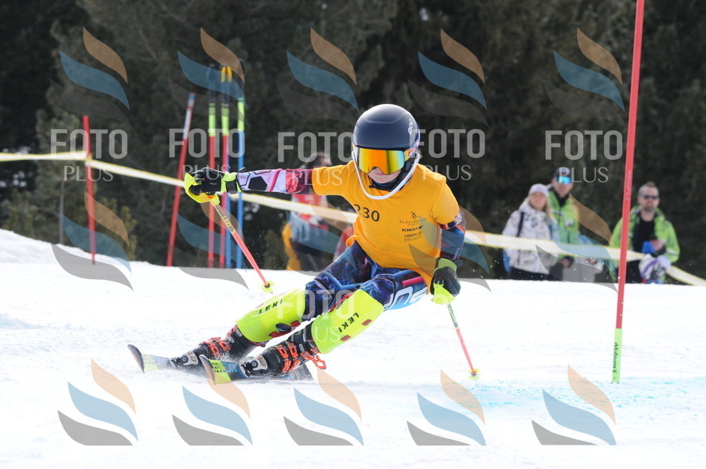 C7667 | holidayphoto