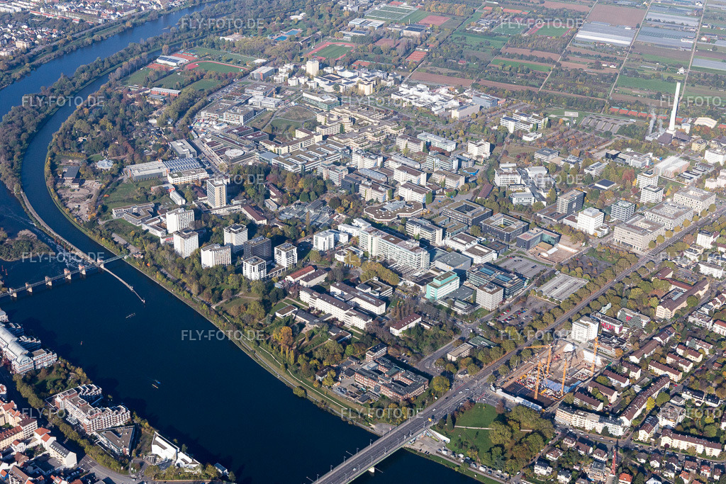 Neueneimer Feld, Universität | Luftbild: Neueneimer Feld, Universität im Ortsteil Neuenheim in Heidelberg im Bundesland Baden-Württemberg in Deutschland. Foto: IMG_104222.jpg vom 31.10.2017 durch Werner Riehm/FLY-FOTO.de - Realisiert mit Pictrs.com