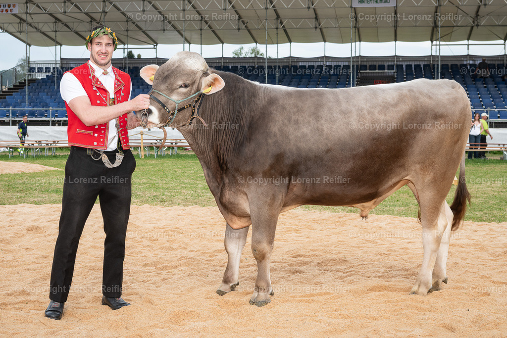 Schwingen -  Thurgauer Kantonales 2026 | Sirnach, 3.5.26, Schwingen - Thurgauer Kantonales.