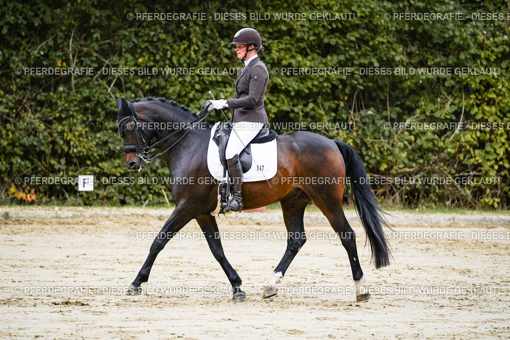 DSC08674 | Pferdegrafie