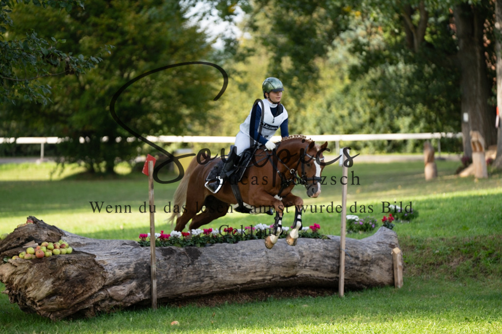 A7V03099 | Turnier/Reitfotograf