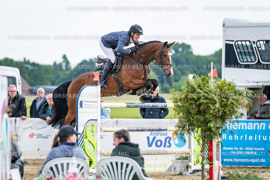 DSC07287 | Pferdegrafie