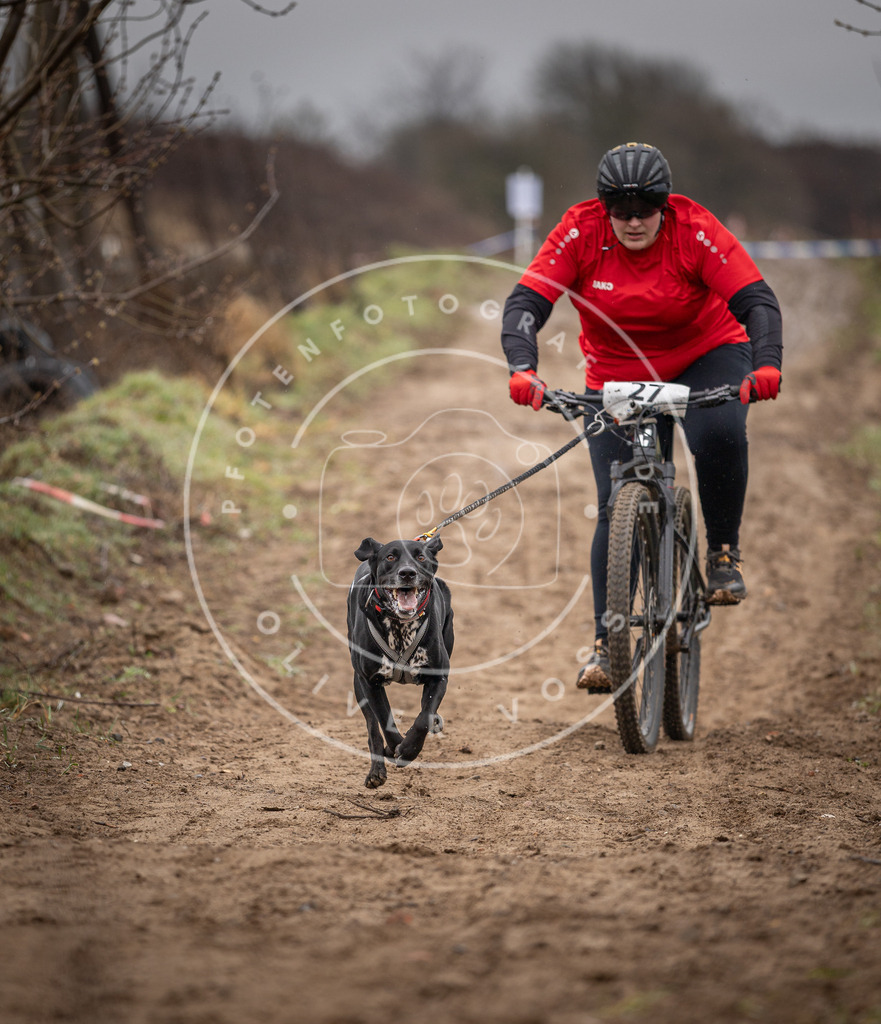 DV3A9027 | Hundefotografie, Tierfotograf, Pfotenfotografie, Fotoshooting Hund, Hunde Portrait, Hundesport, Hundeportraits, Heideshooting, Hunde, Sportfotograf, Hundefotograf, Turnierhundsport, THS,  - Realisiert mit Pictrs.com
