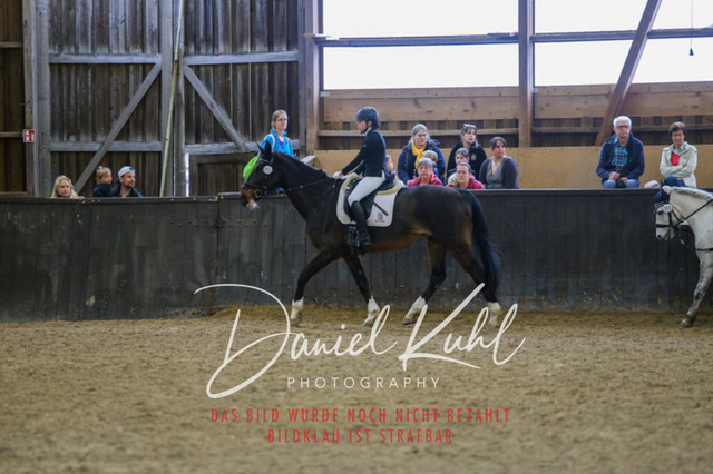 IMG_1575 | Turniersportfotografie; Pferdefotografie; Dressurfotografie