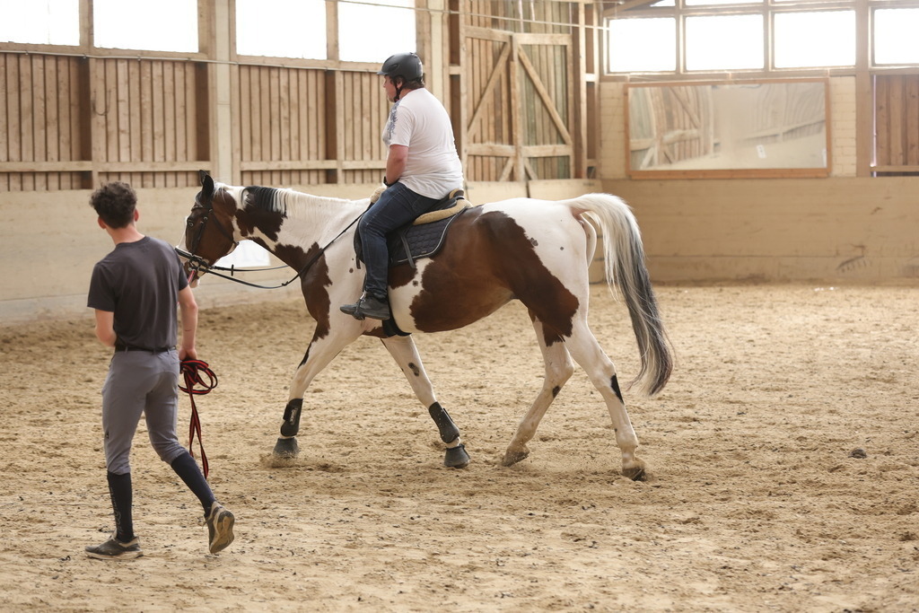 0P6A9145 | Willkommen bei Brunnmayr - Design & Fotografie – Ihrem Spezialisten für Reitturniere und Pferdeveranstaltungen in Oberösterreich, Salzburg und Bayern! Seit über 17 Jahren sind wir leidenschaftlich dabei.