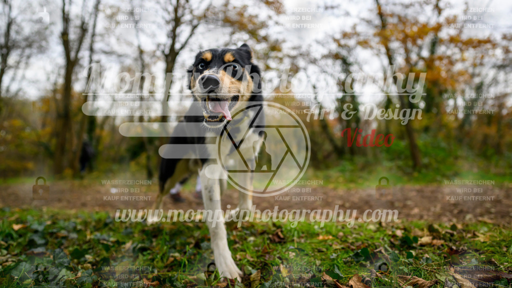 MompixPhotography_Bischwiller24_DI_CoursedeRelais-65 | PayLife
