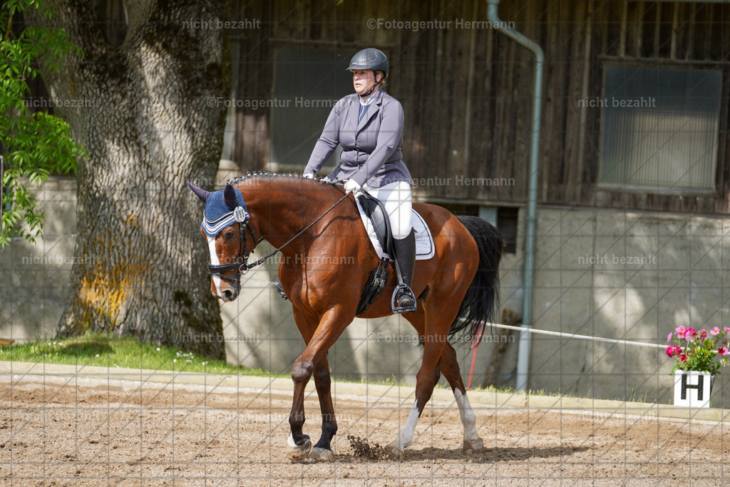 20240519-FAH04798 | Turnierbilder Niederseeon 2024, Vielseitigkeitsdressur, Reitsportbilder aus dem Landkreit Ebersberg, Gut Steinsee, RC Steinsee, Fotoagentur Herrmann