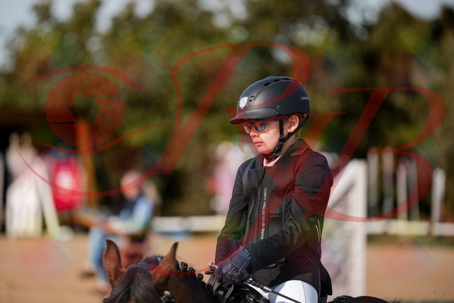 2026_10_03_Siefer-Hof_122058_Z63_44526708 | Professionelle Reitsport-, Turnier- und Eventfotografie von Robert Broda. Galerien mit ausgewählten und bearbeiteten Bildern direkt online ansehen und bestellen.