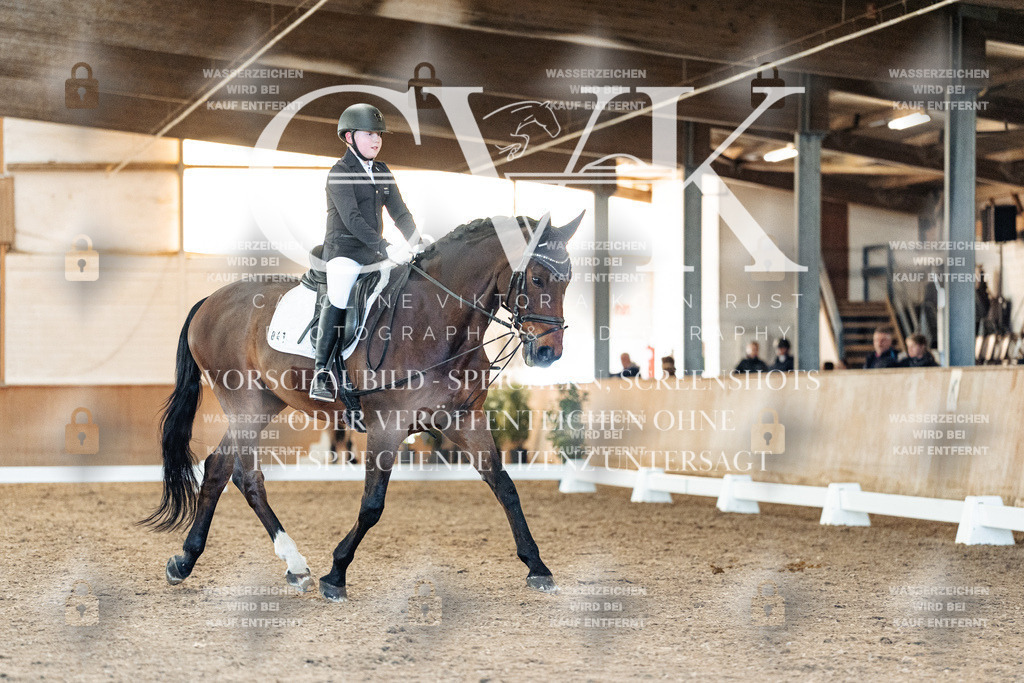 CK907248 | Turnierfotografie Pferdefotografie Trier Rheinland-Pfalz Pferdesport Reitsport Tierfotografie Sportfotografie Pferdevideo Pferdevideografie Equestrianvideography equestrianphotography  - Realisiert mit Pictrs.com