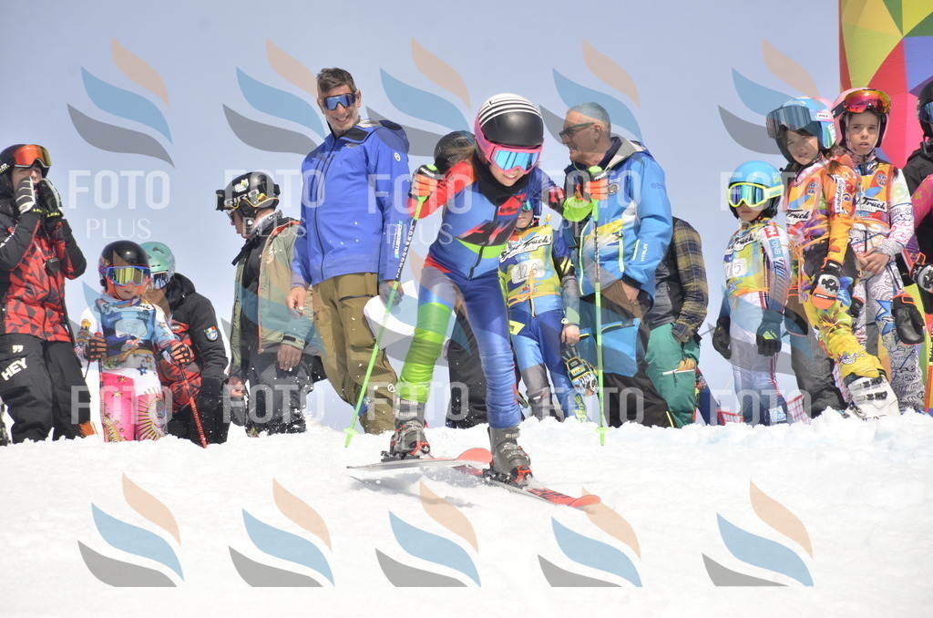 _ELE8855 | holidayphoto