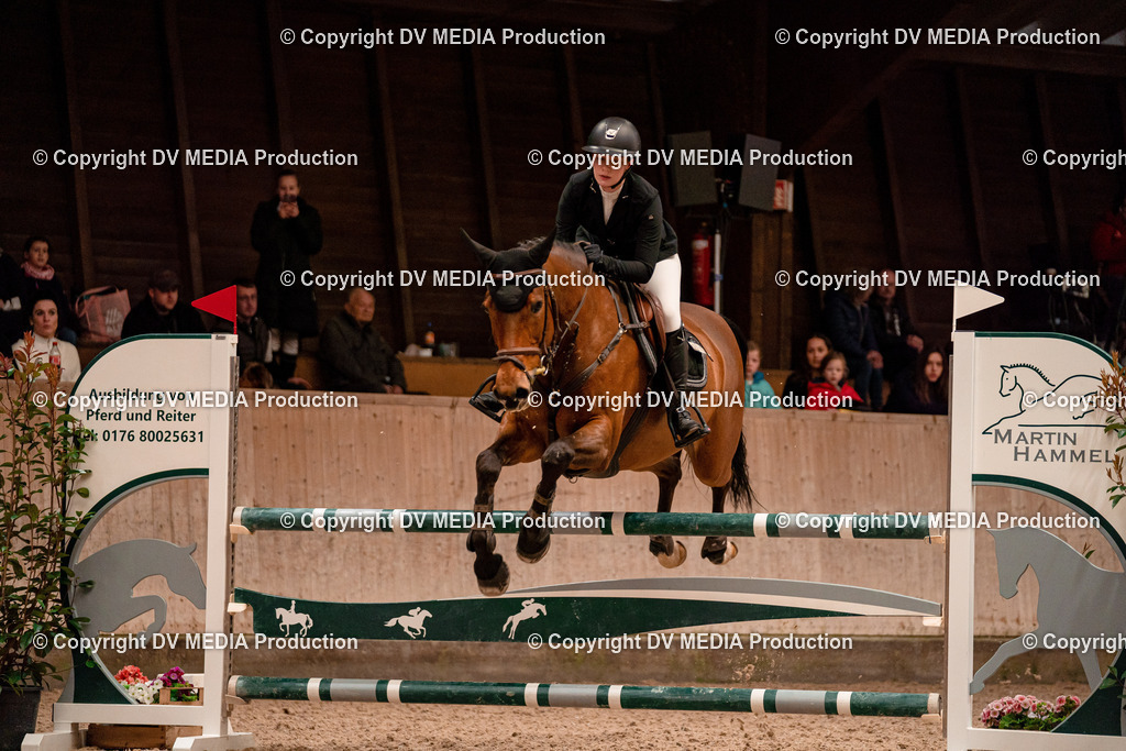 Springen Tag 2-387 | dv-media-shop - Realisiert mit Pictrs.com