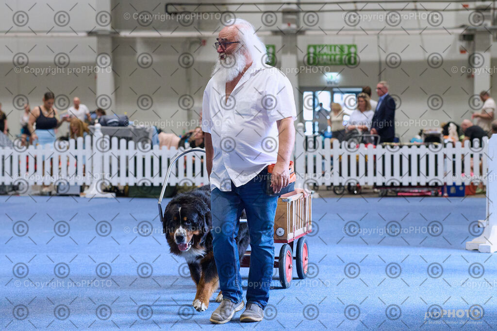 202406_ÖKV-IHA-Tulln24_DSC_4670 | proPHOTO - Realisiert mit Pictrs.com