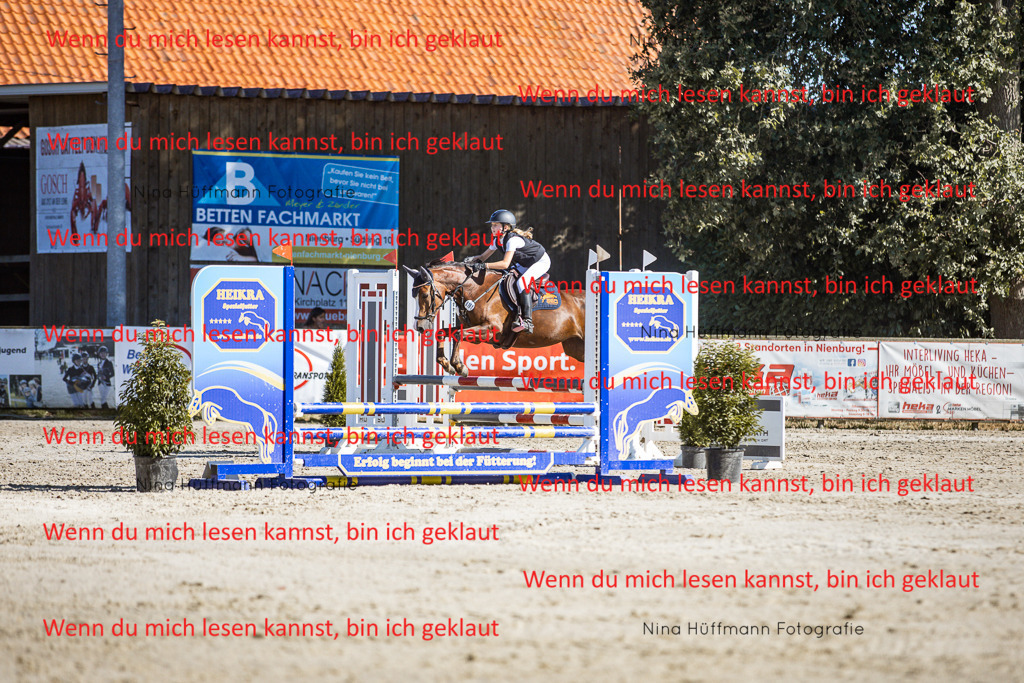 BK1A8078 | Turnierbilder Turnierfotos Nina Hüffmann Turnierfotografie Pferdefotografie Tierzeichnung Haustierzeichnung Pferdezeichnung Hundezeichnung Videograf  - Realisiert mit Pictrs.com