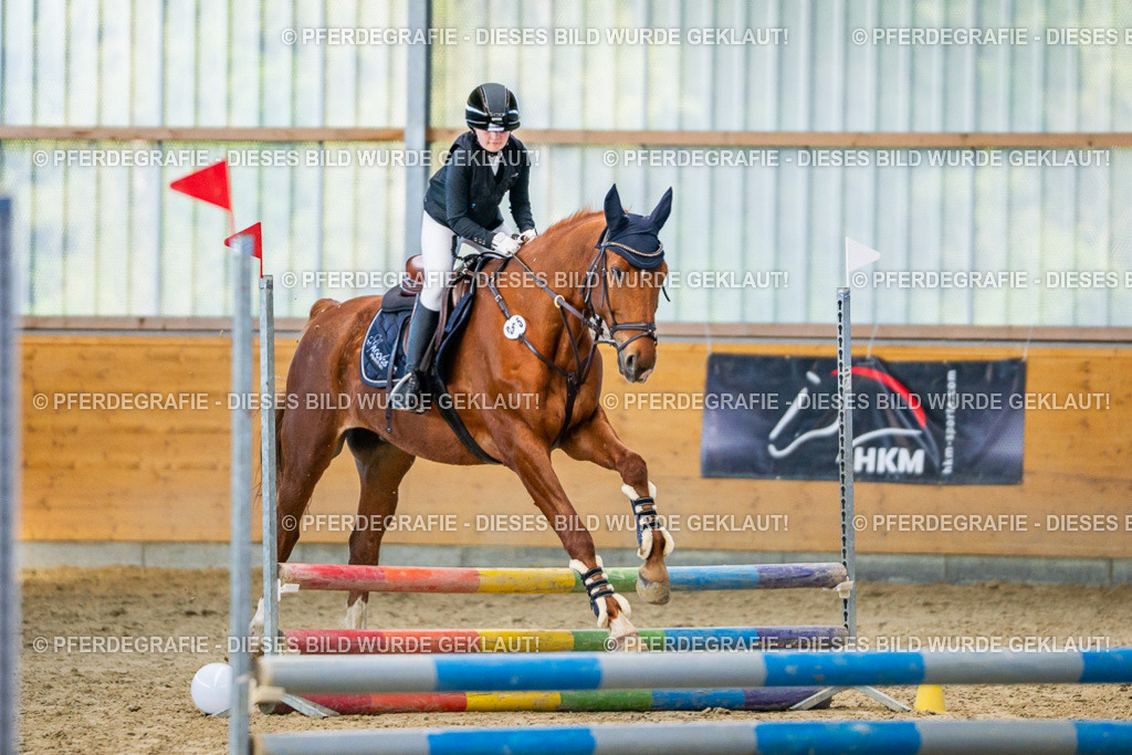 DSC01298 | Pferdegrafie